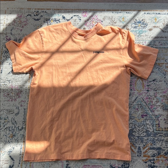 Patagonia Men's Peach Short Sleeve Tee - Picture 1 of 3